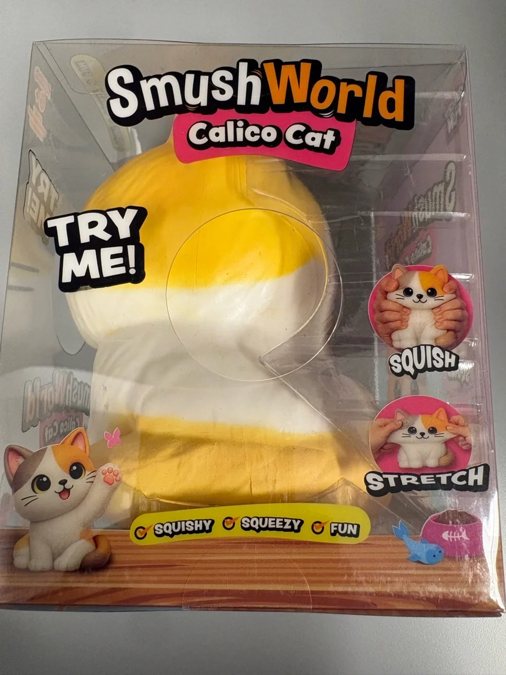 Crazy fun cute calico